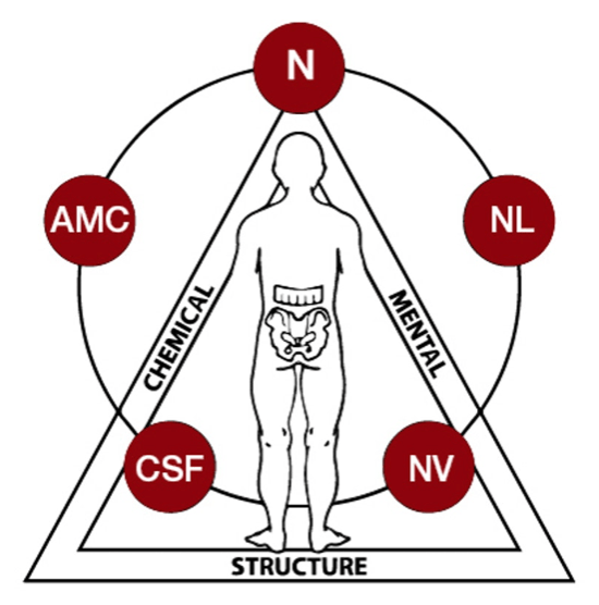Graphic of Applied Kinesiology - Structural, Chemical Mental triad